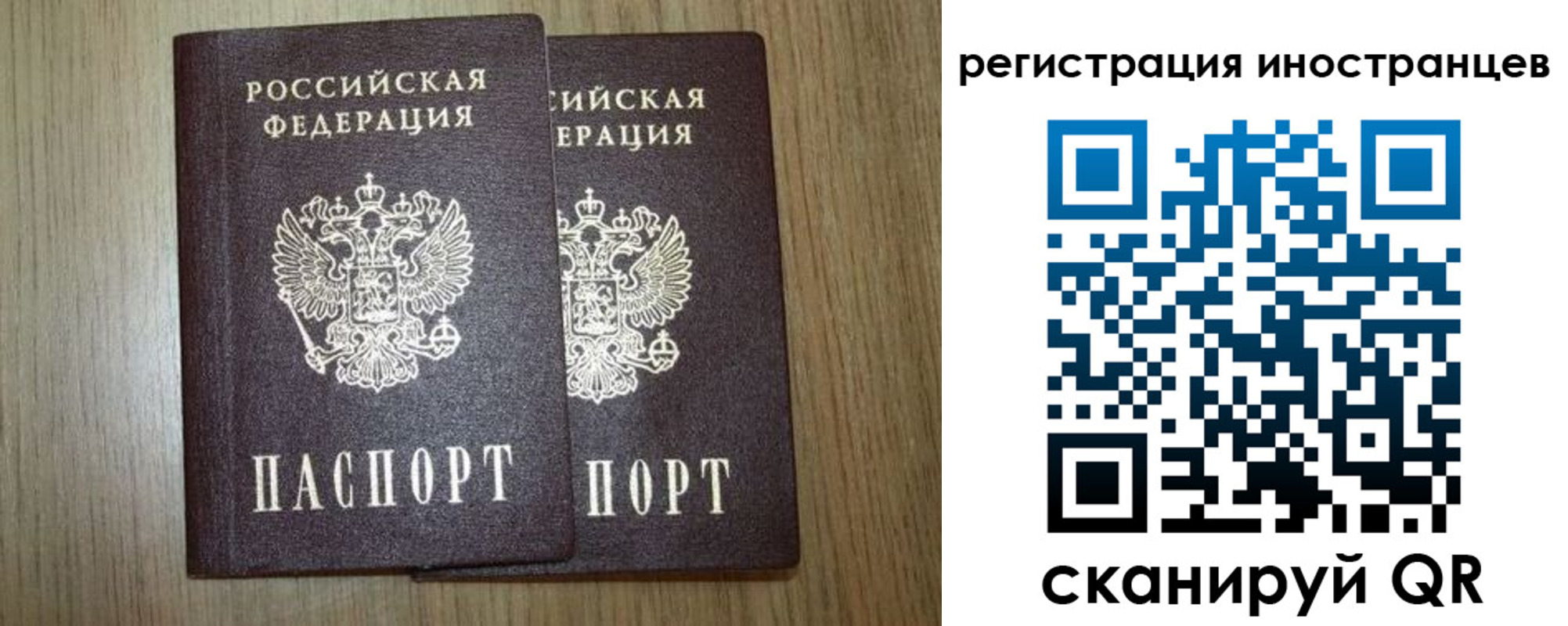 прописка для школы в Кудрово